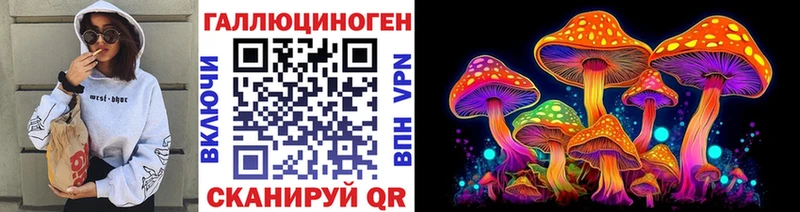 Купить закладки  Иркутск  Галлюциногенные грибы Psilocybine cubensis 